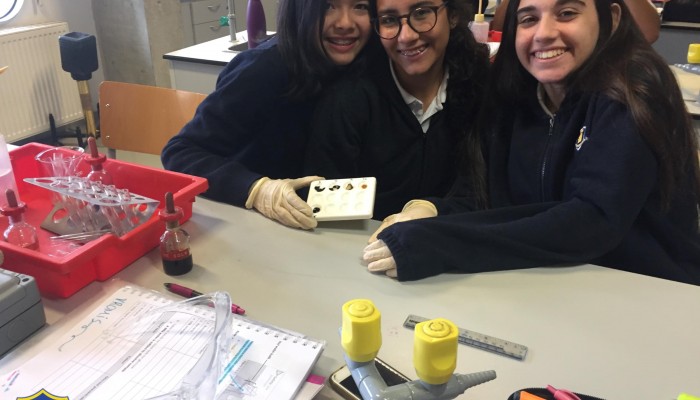 Year 4 Biology Students in action